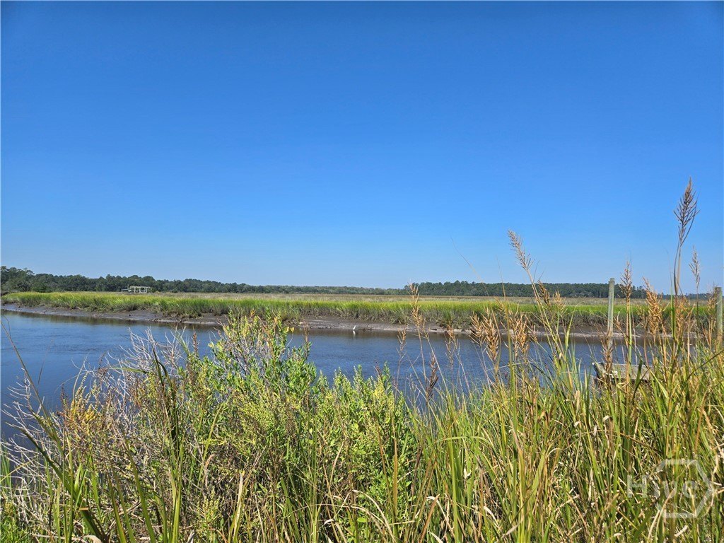 Picture 21