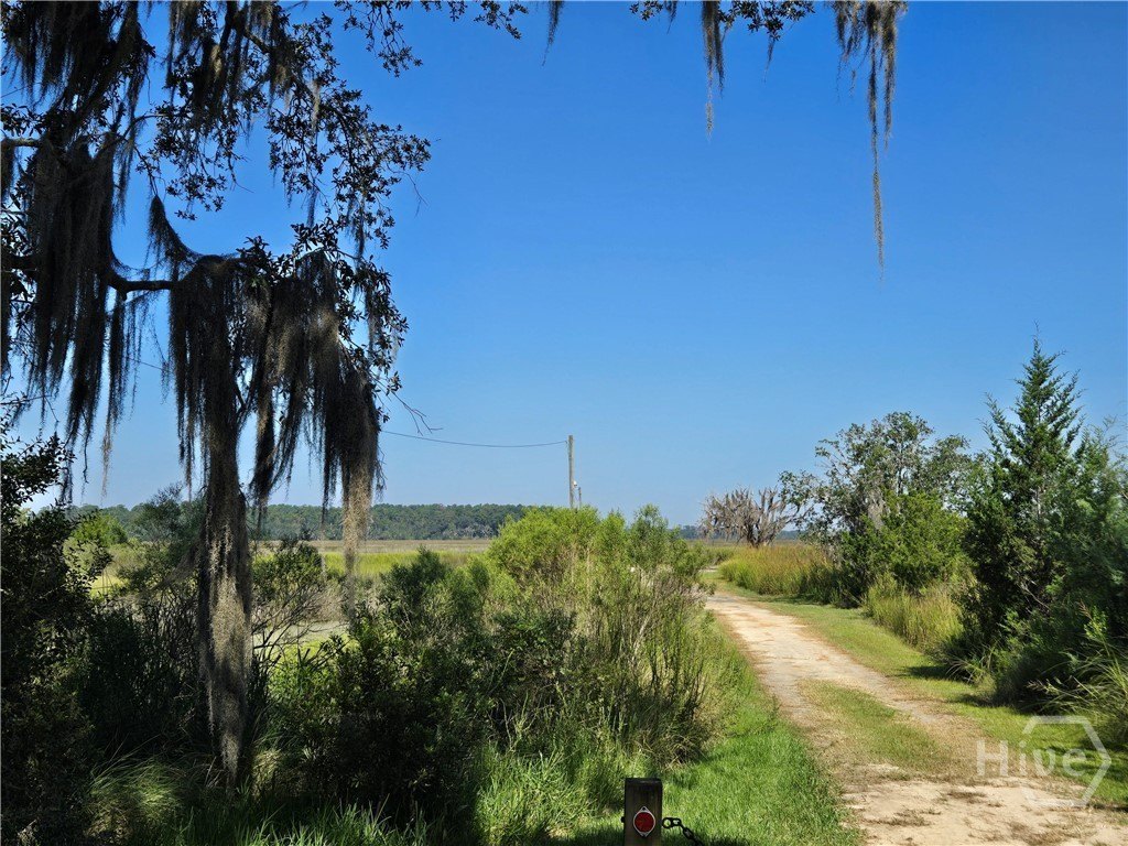 Picture 20