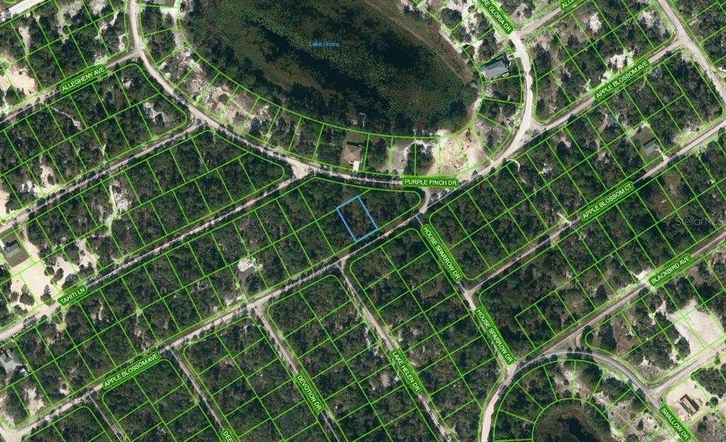 Residential Land in Lake Placid