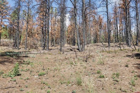 LAND, Pagosa Springs, CO