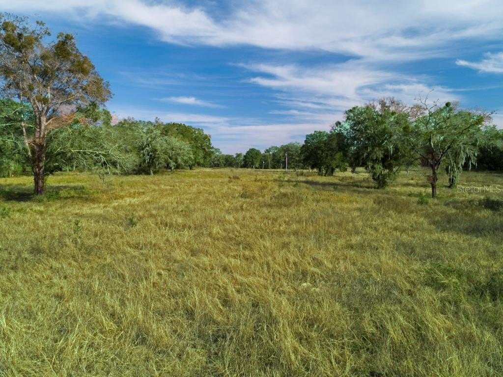 Picture 9