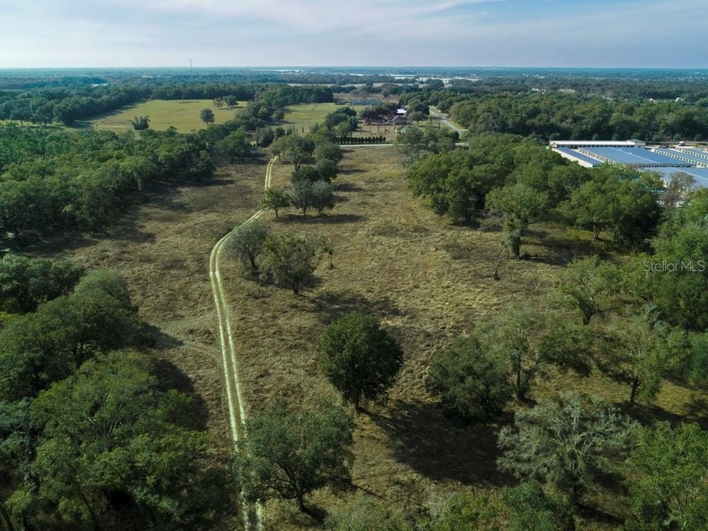 Picture 8