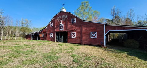 LAND - Rutherfordton, NC
