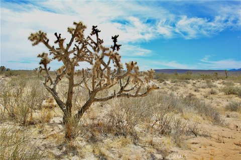 Land, Landers, CA