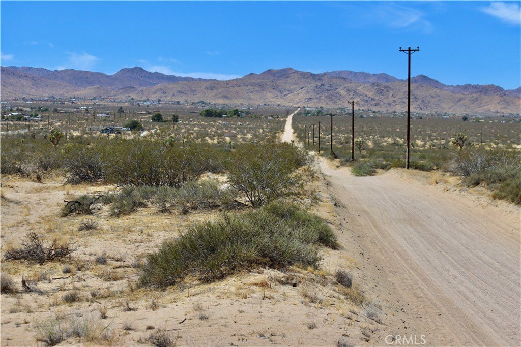 Picture 6