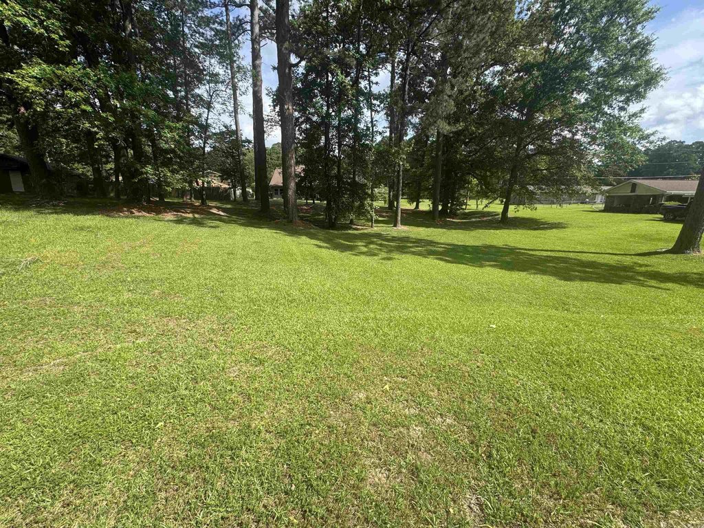 Picture 3