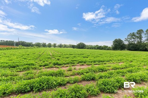 Land, Silverhill, AL