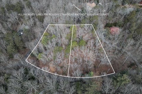 Wooded Residential Lots in Buckhorn Estates