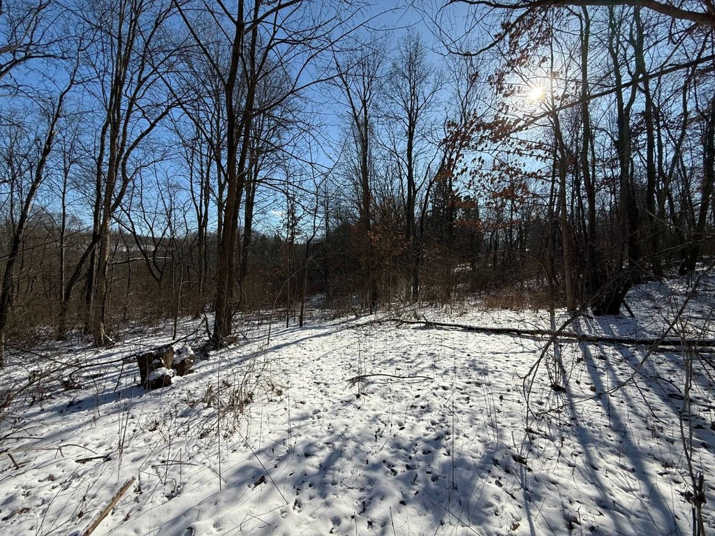 Picture 8
