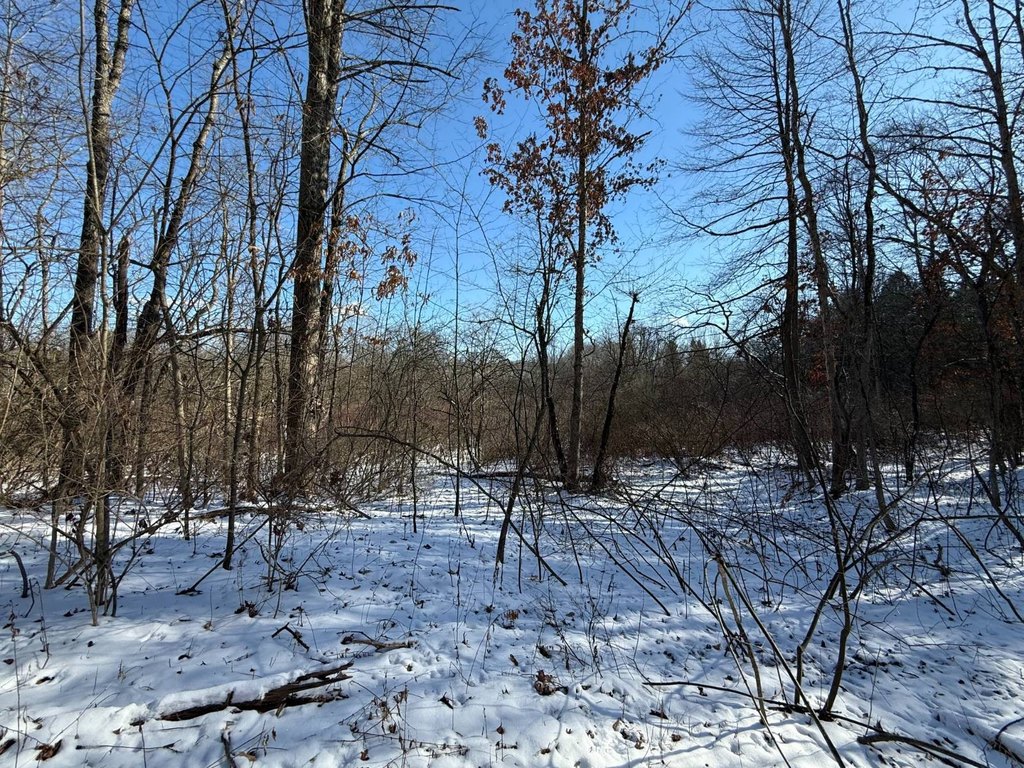 Picture 13