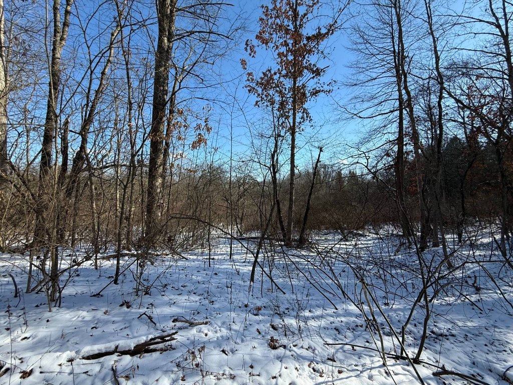 Picture 14