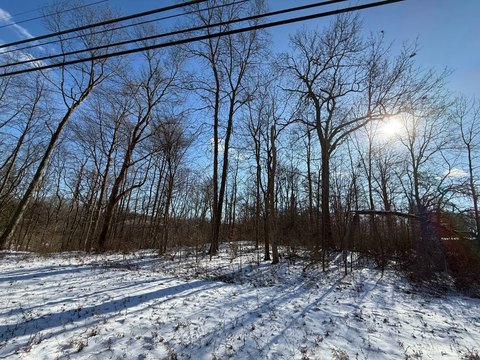 Road-Front Land Tract