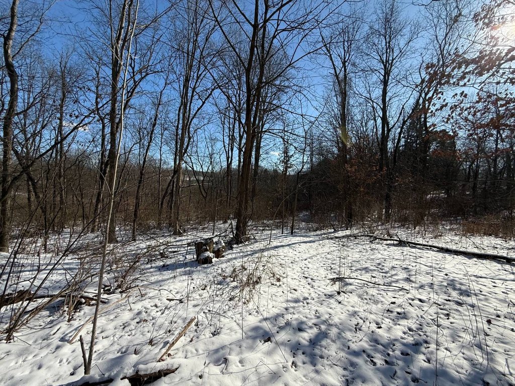 Picture 9