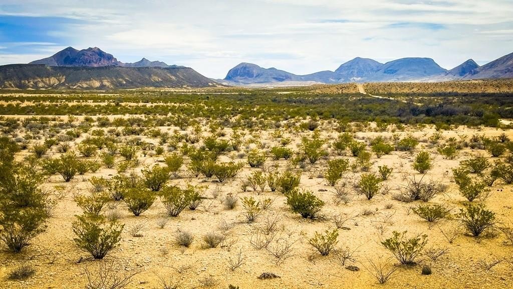 Terlingua, TX Desert Land