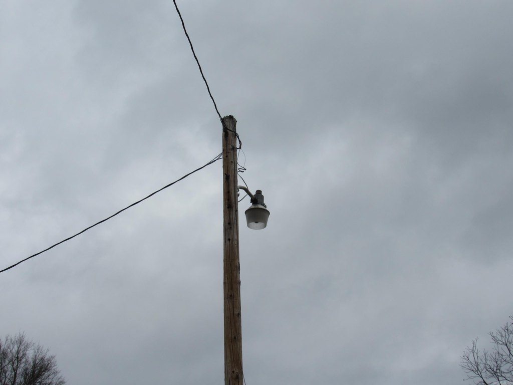 Picture 19