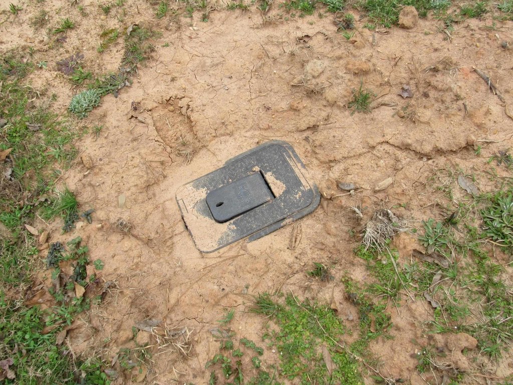 Picture 18