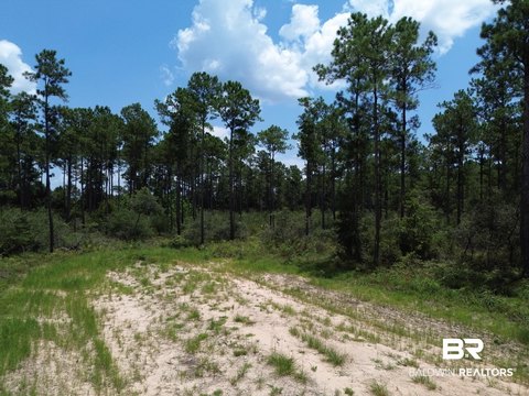 Recreational Homesite Land