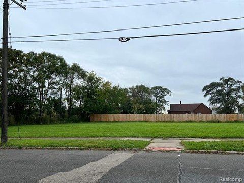 Residential Land in Southwest Detroit