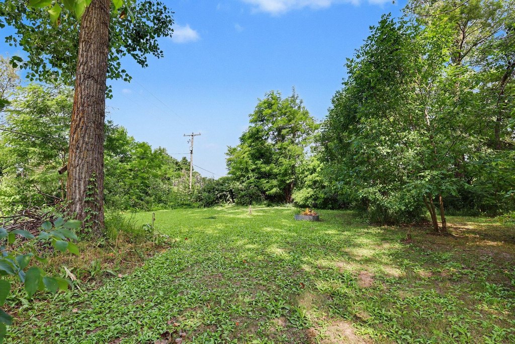 Picture 8
