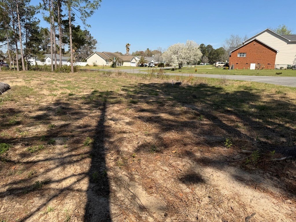 Picture 14