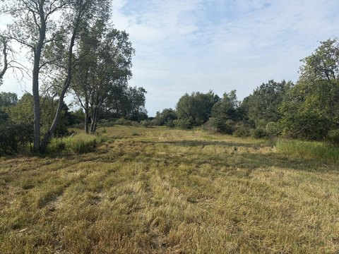 LAND - Reed City, MI