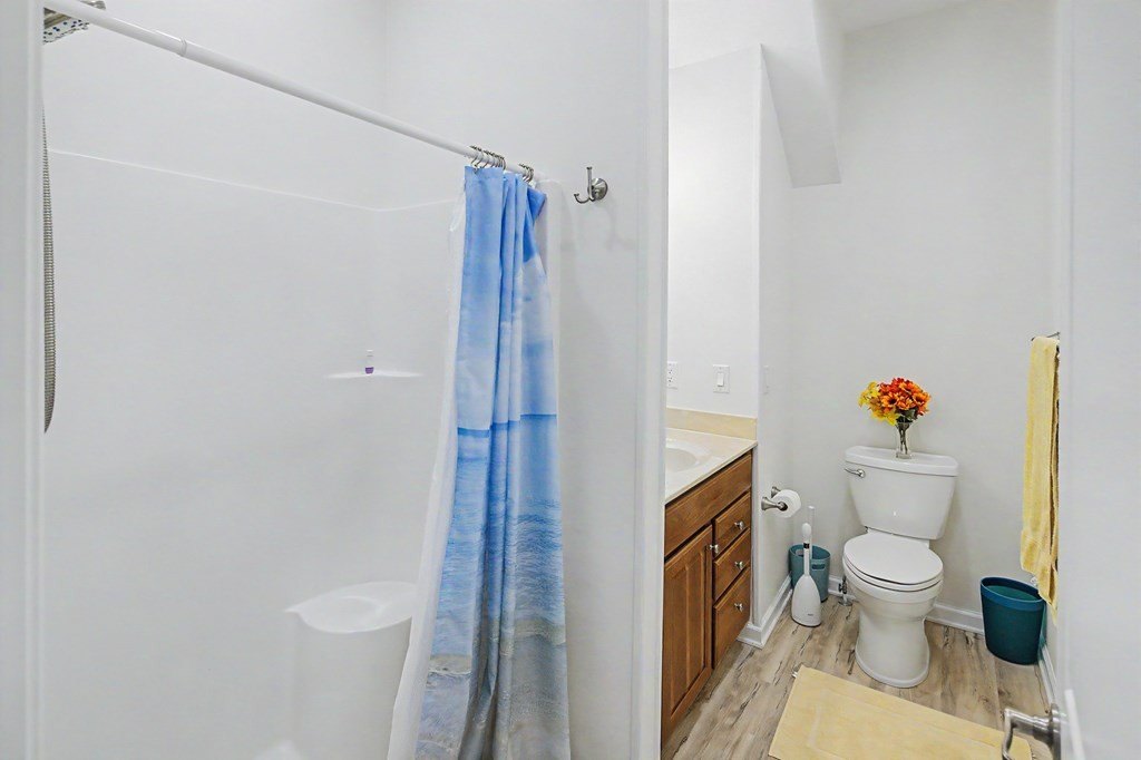 Picture 46