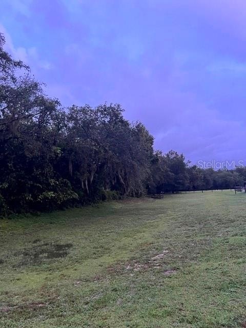 Picture 20