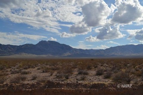 Single Family Lot, Littlefield, AZ