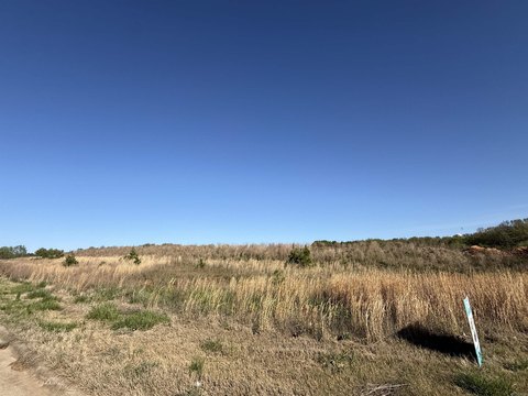 Paragould, AR Rolling Acreage