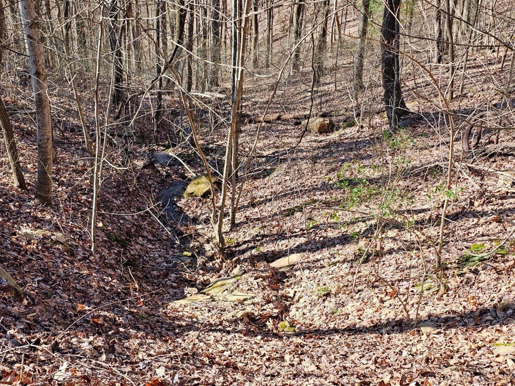 Picture 27