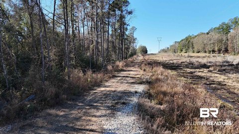 Saraland Land Investment Opportunity