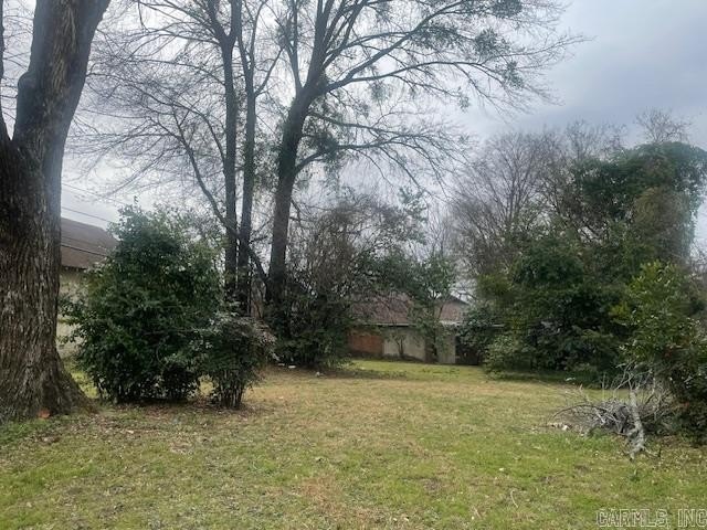 Picture 2