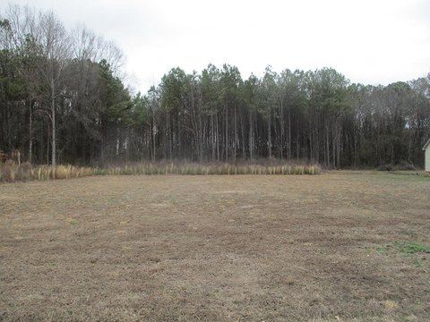 Land For Sale in Dalton