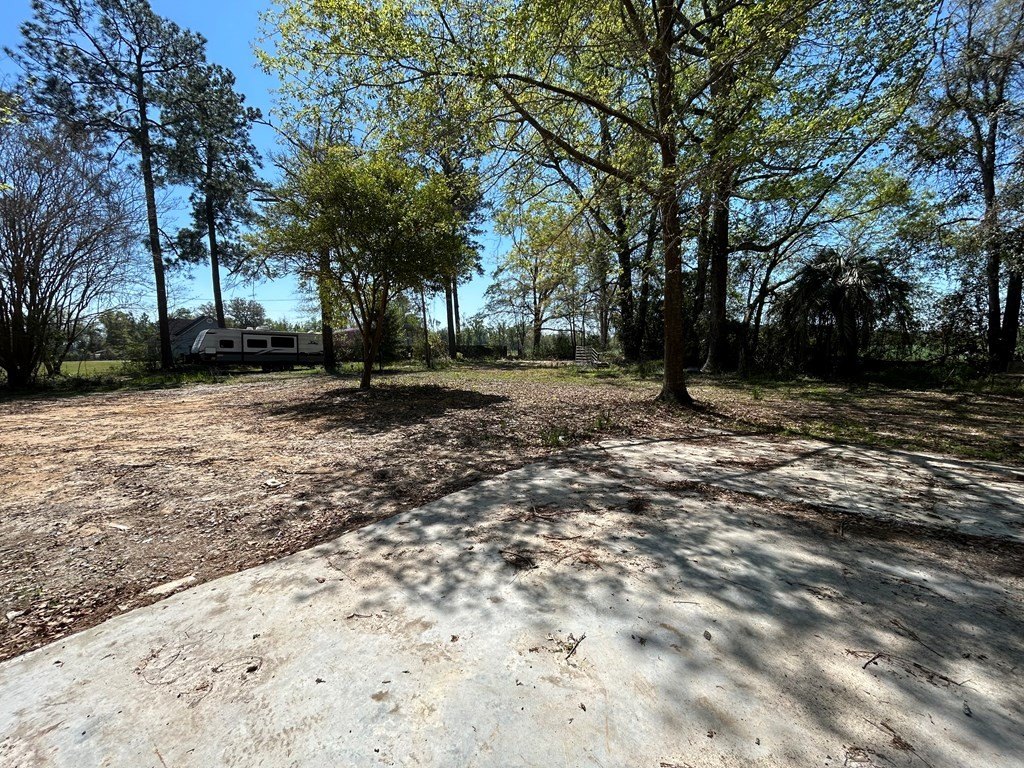 Picture 2