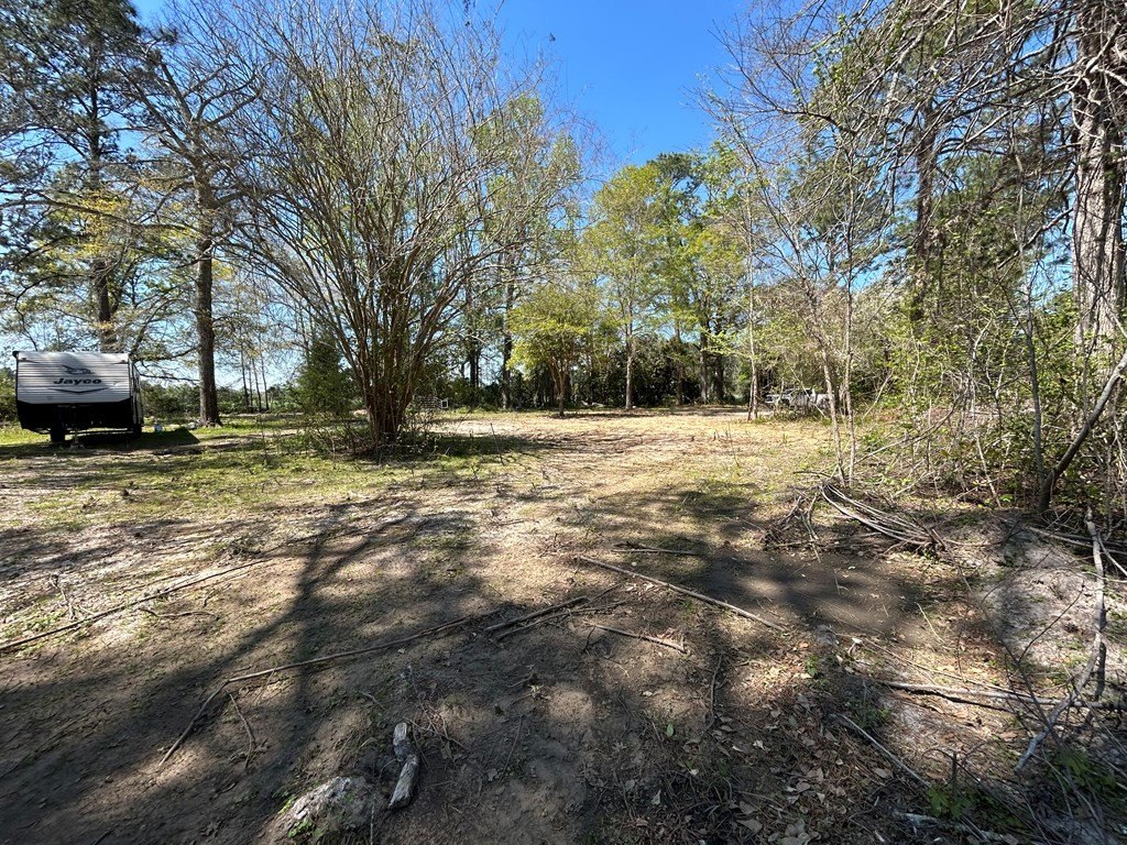 Picture 3
