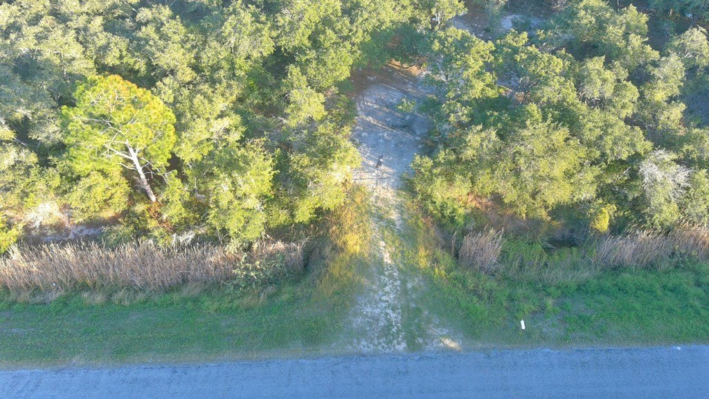 Picture 2