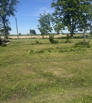 Land, Other - Essex, MO