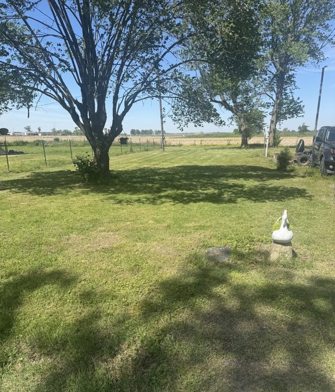 Picture 5