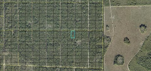 Land, HASTINGS, FL