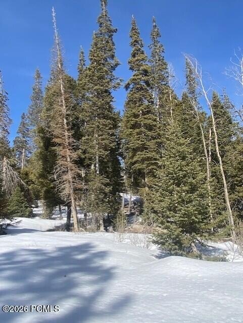Picture 14