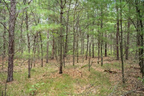 Lots & Acreage, Necedah, WI