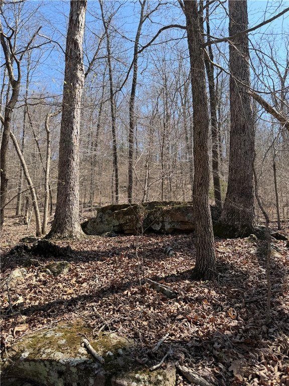 Picture 16