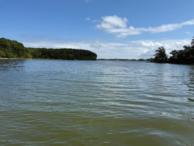 Picture 14
