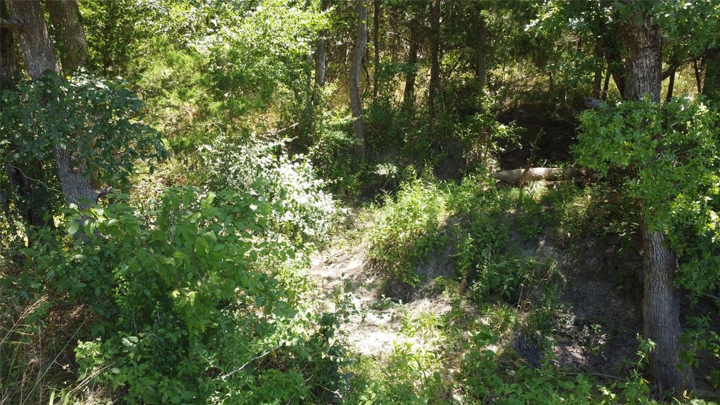 Picture 20