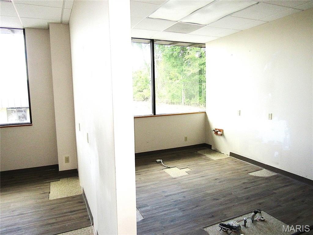 Picture 9