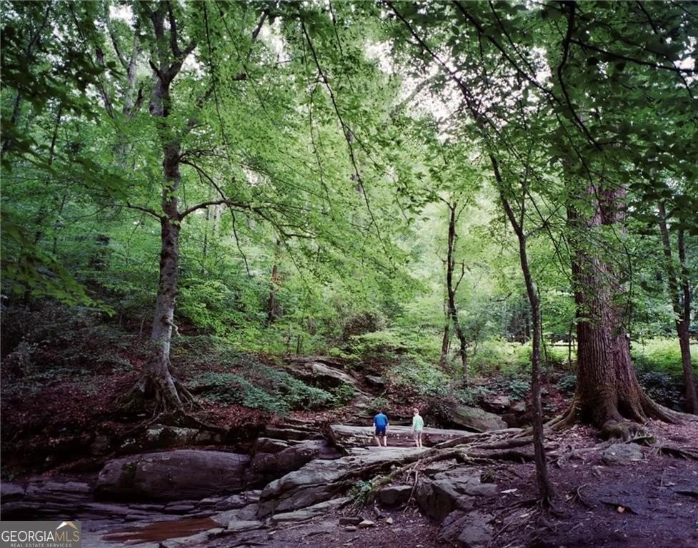 Picture 13