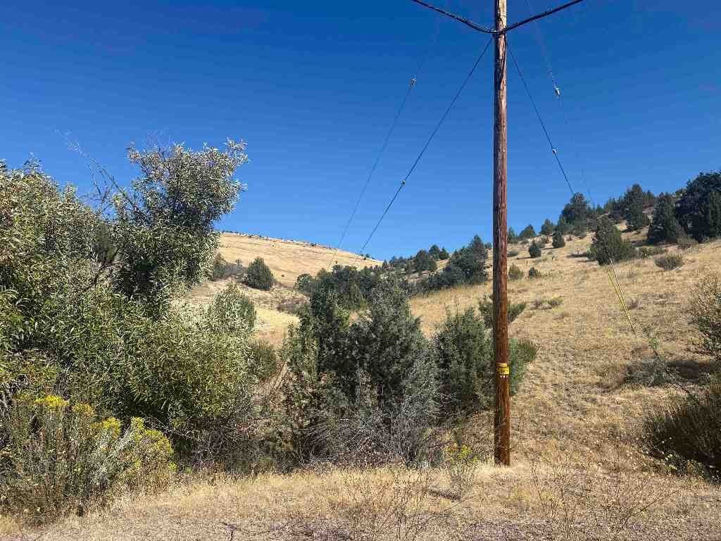 Picture 8