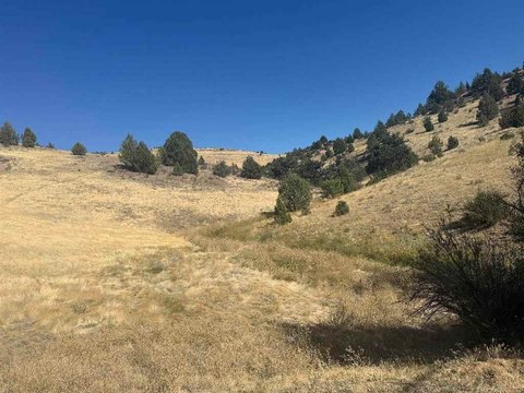 2.5 Acre Lot in Hornbrook