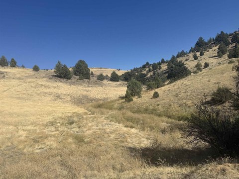 2.5 Acre Lot in Hornbrook