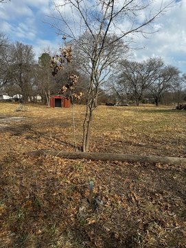 Improved Land in Bells, TX